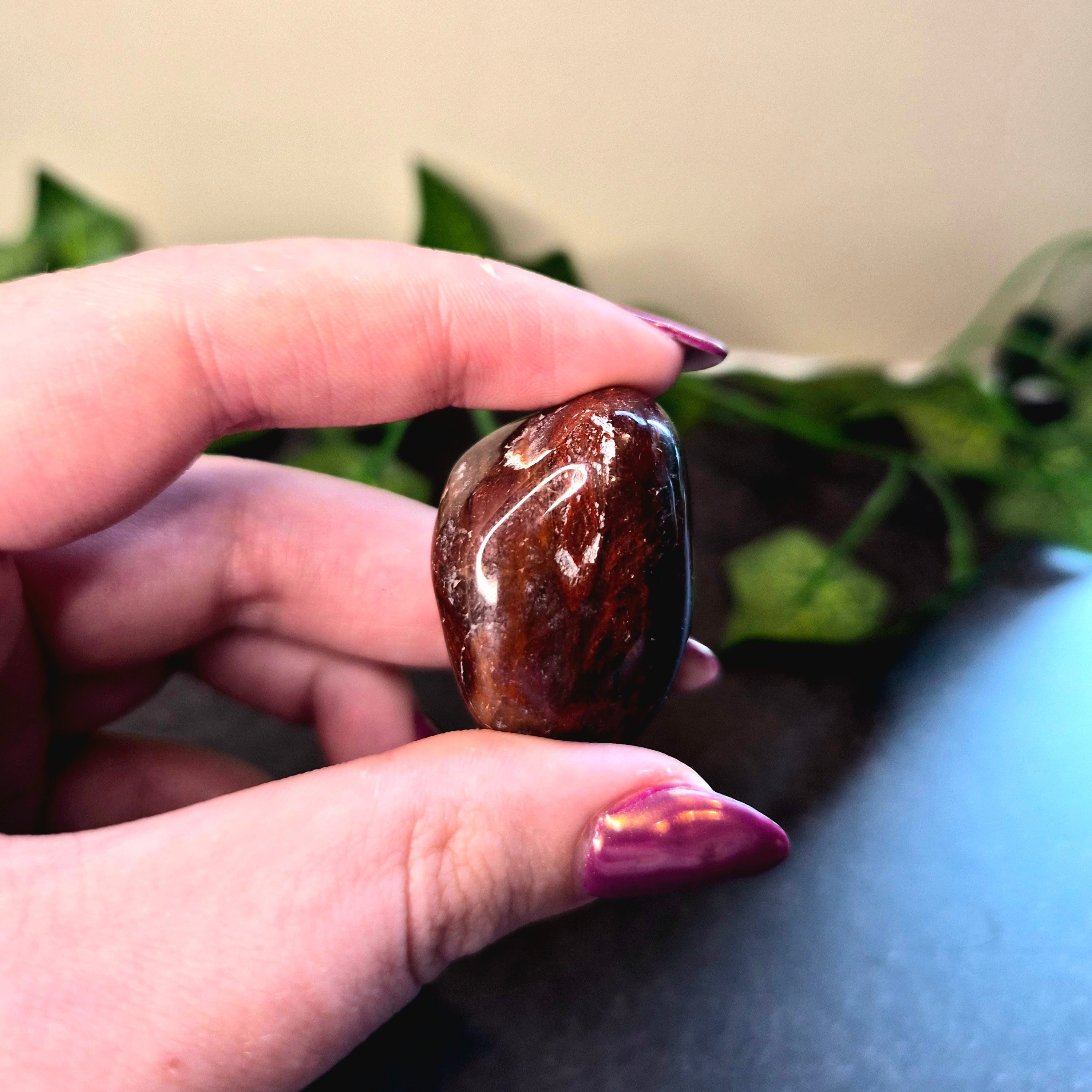 Petrified Wood Tumble (large)