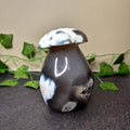 Orca Agate Mushroom
