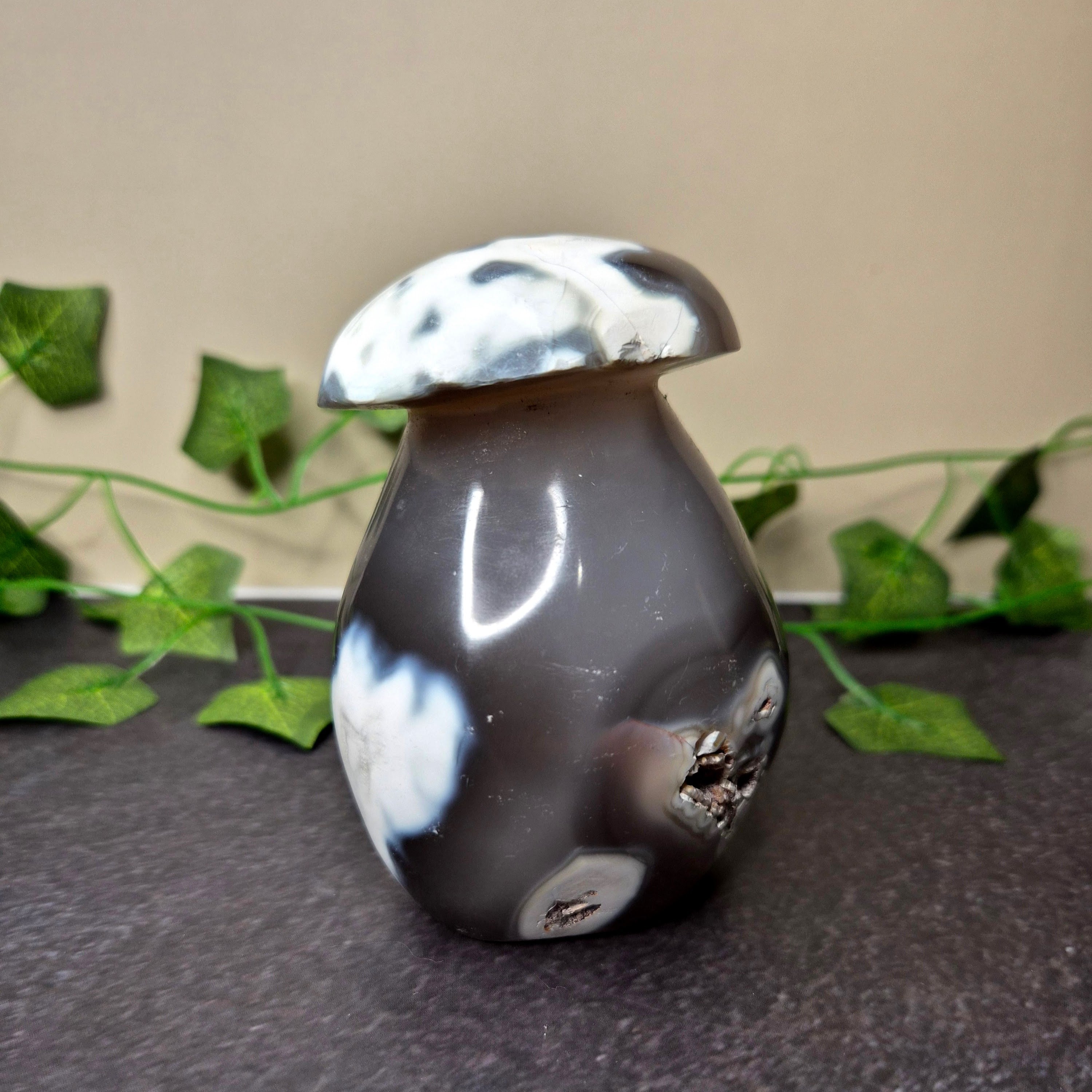 Orca Agate Mushroom