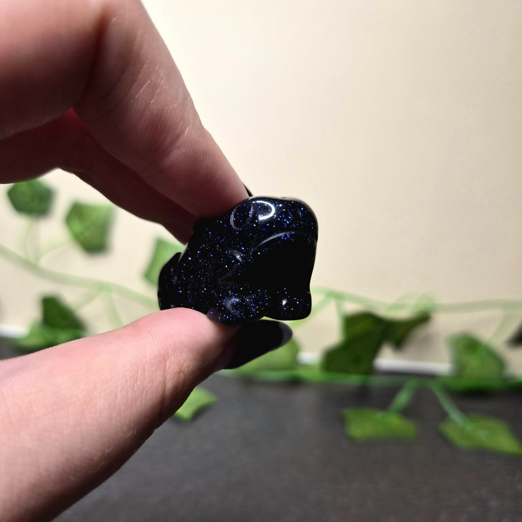 Blue Goldstone Frog