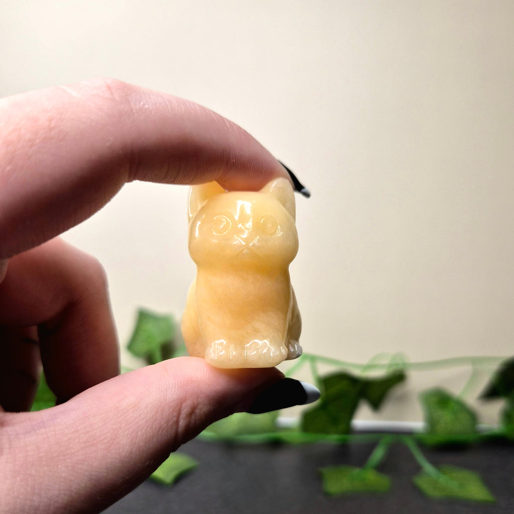 Yellow Calcite Cat