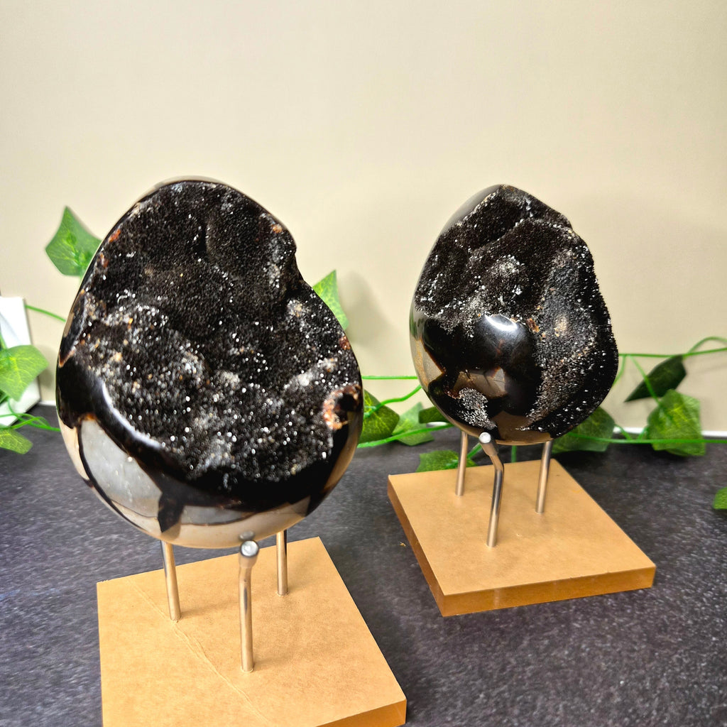 Druzy Septarian Egg