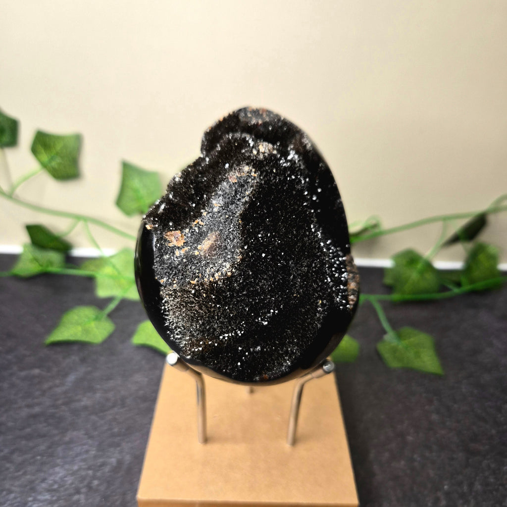 Druzy Septarian Egg