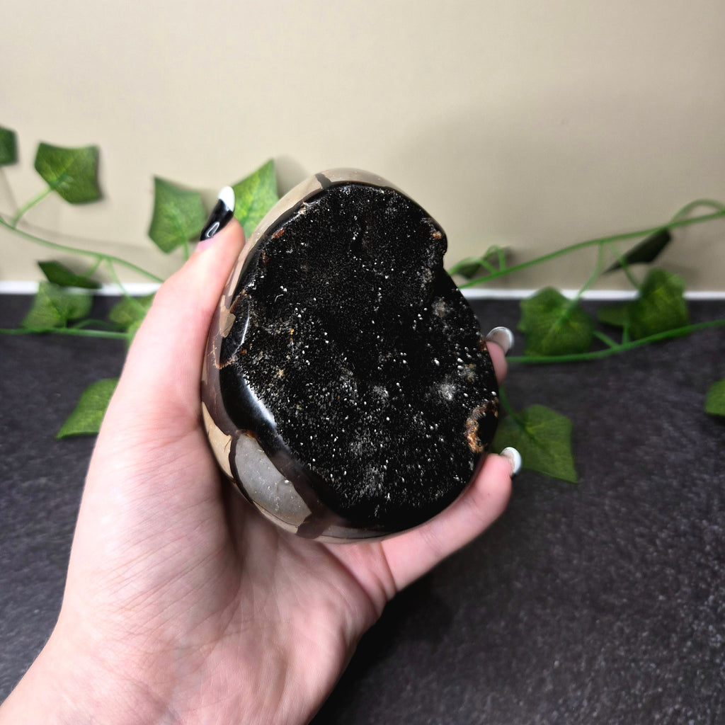 Druzy Septarian Egg