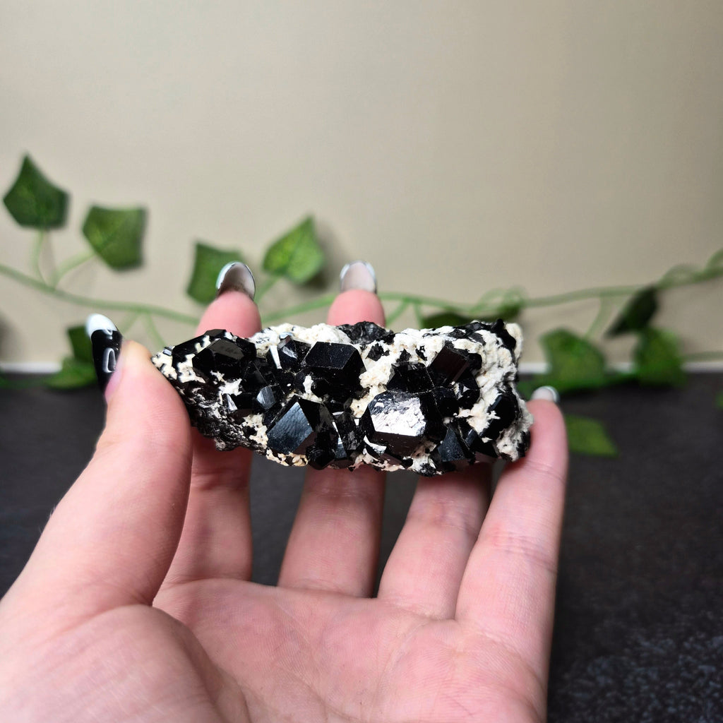 Black Tourmaline Cluster