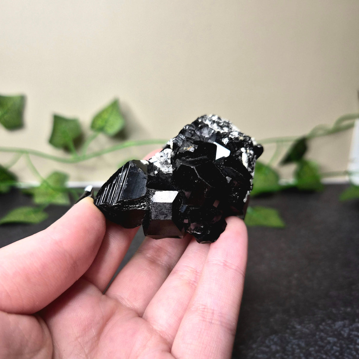 Black Tourmaline Cluster